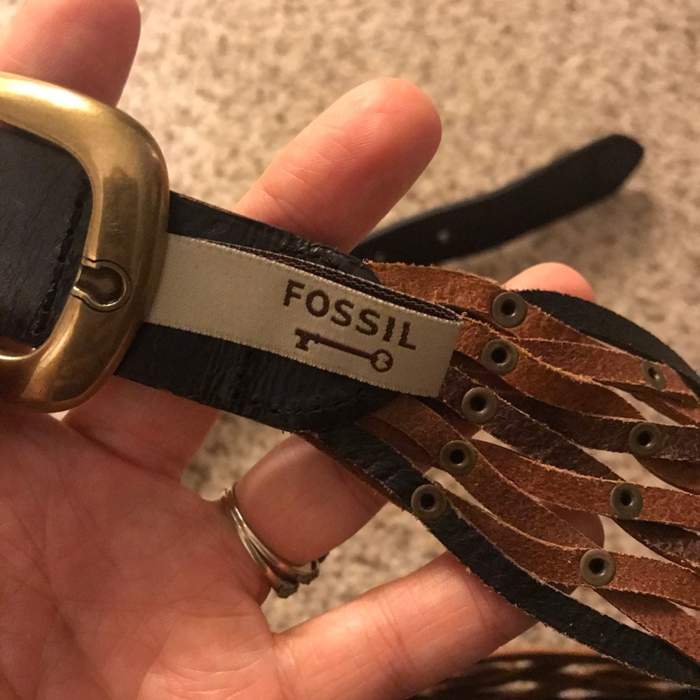 Fossil Belt